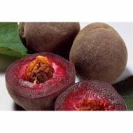 Саджанець Персик Еректрокарпа